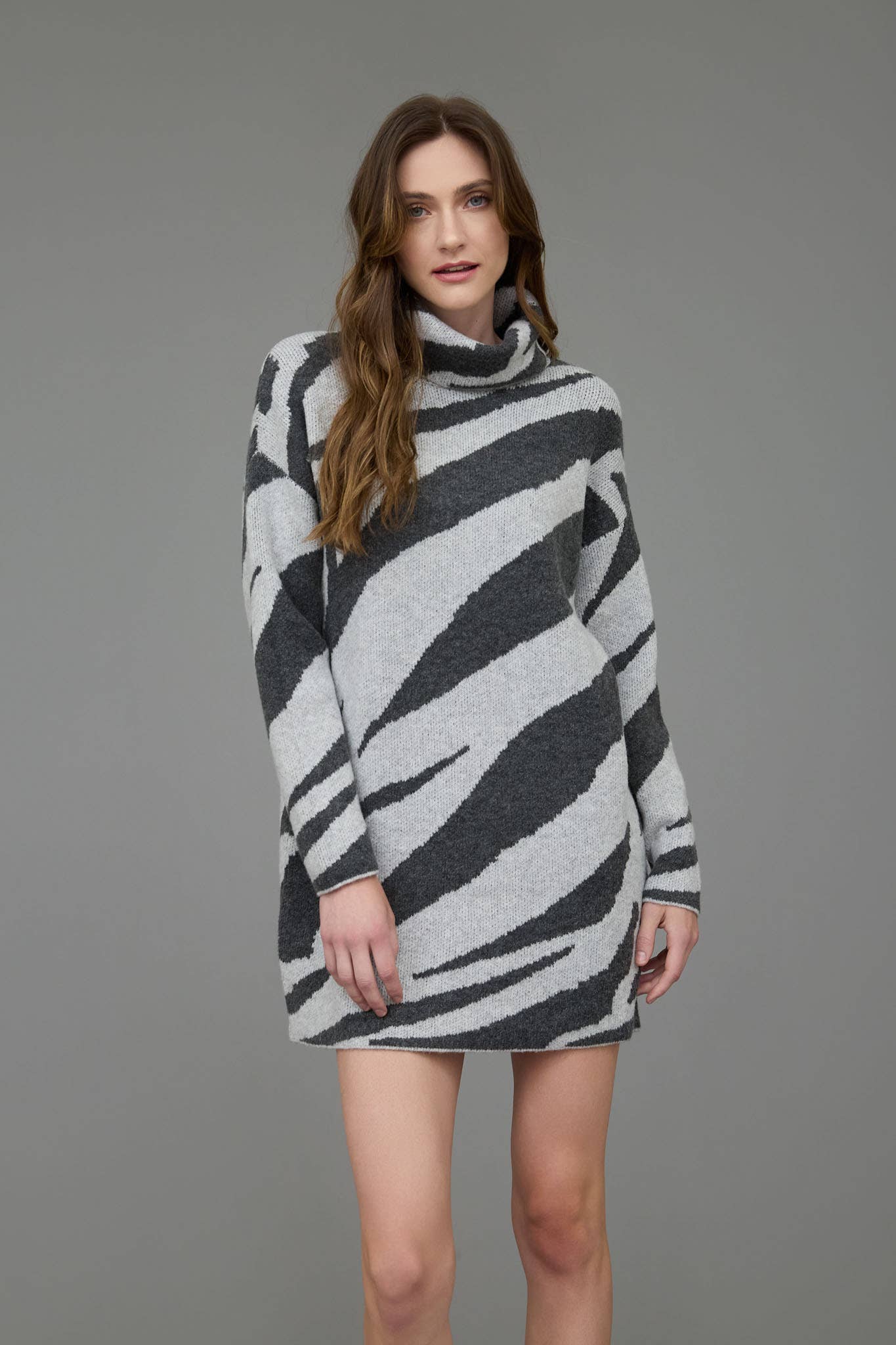 The Zebra Sweater Dress