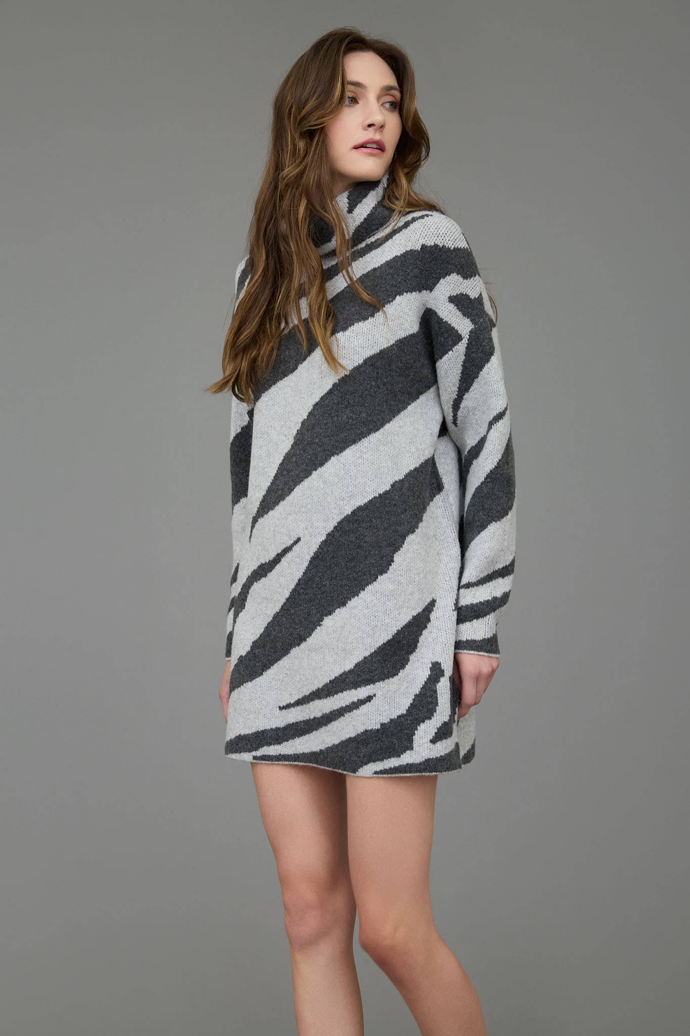 The Zebra Sweater Dress