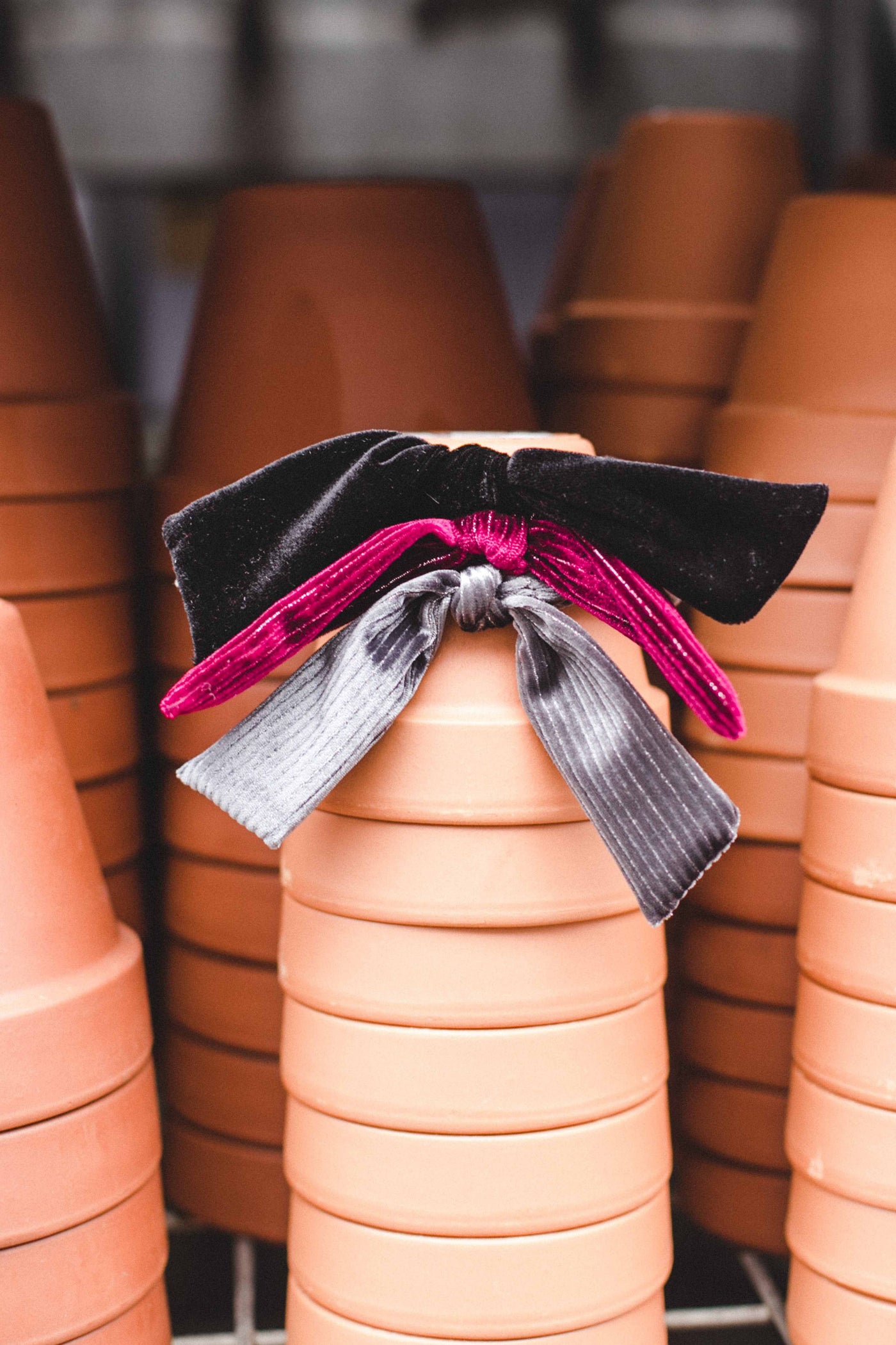 Burgandy Velvet Bow Scrunchie